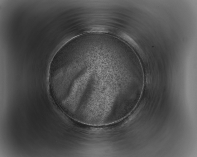 X0000089381378200706291309