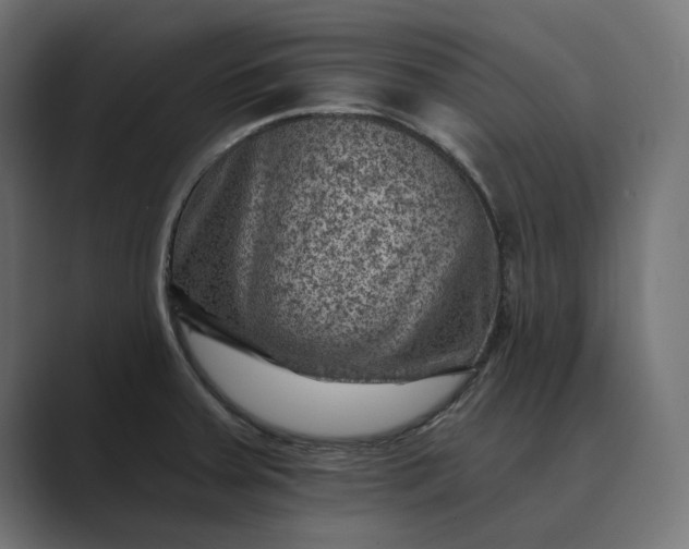 X0000089381379200706291309