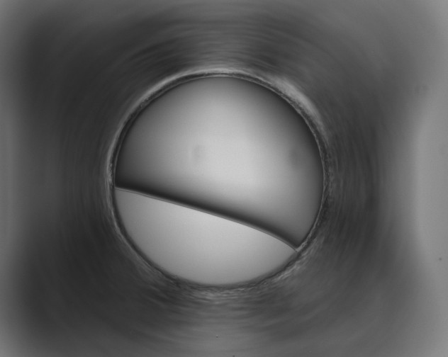 X0000089381380200706291309