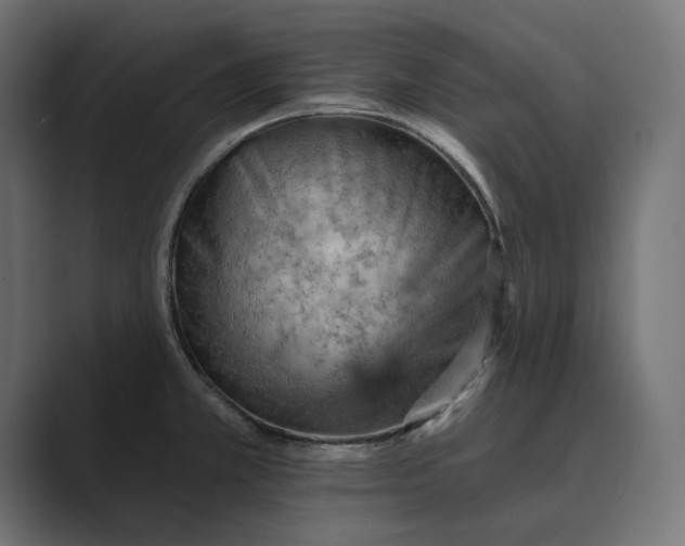 X0000089381381200706291309