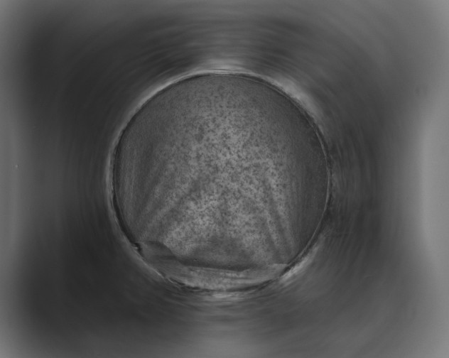 X0000089381382200706291309