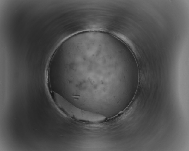 X0000089381383200706291309