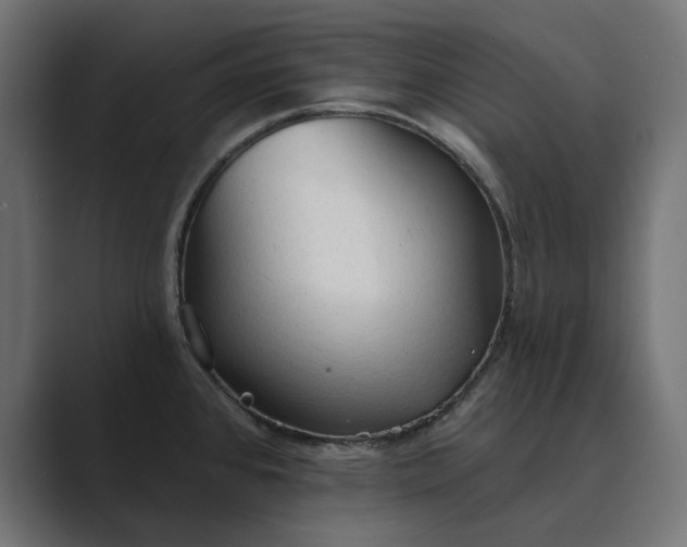 X0000089381384200706291309