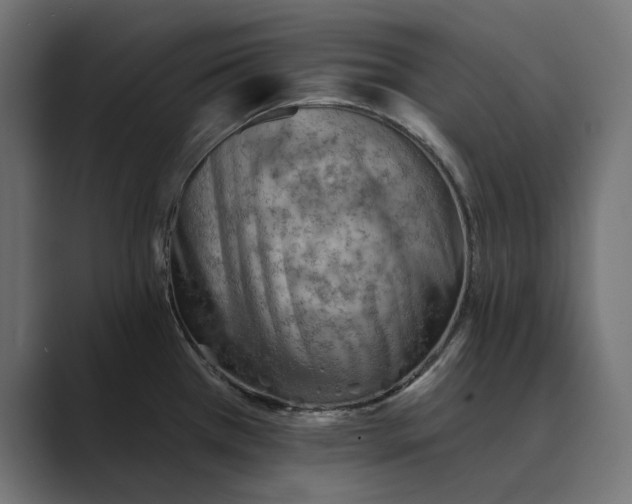 X0000089381385200706291309
