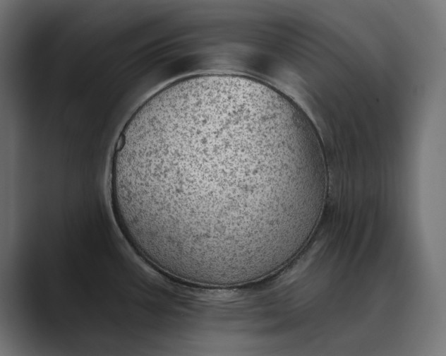 X0000089381387200706291309