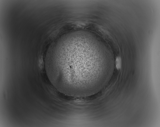 X0000089381395200706291308