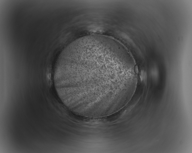 X0000089381396200706291308
