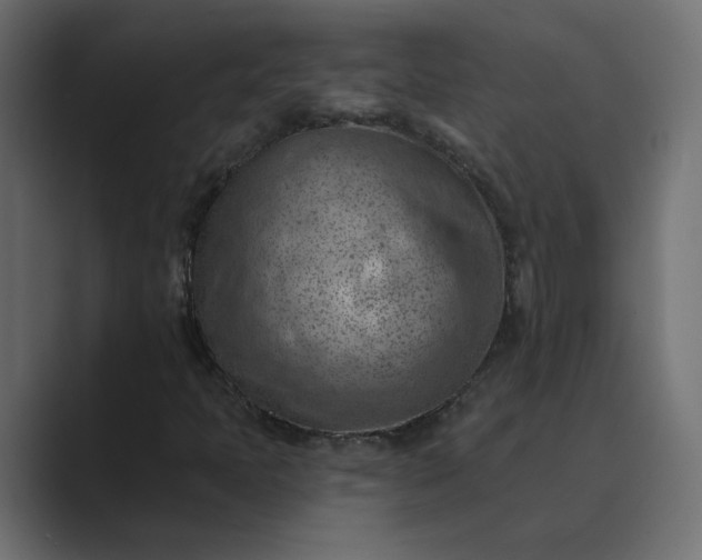 X0000089381397200706291308