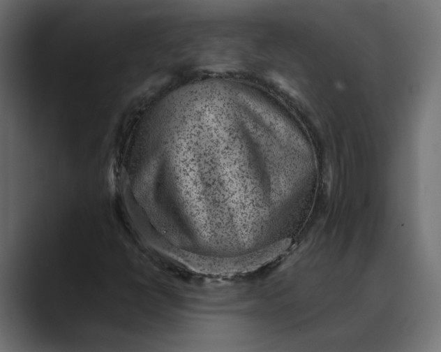 X0000089381398200706291308