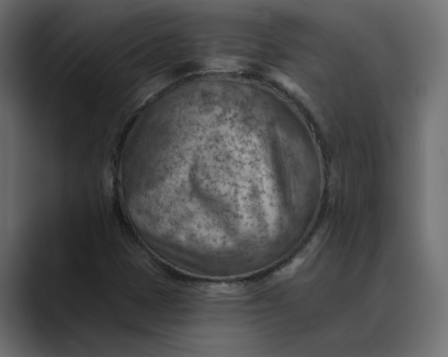 X0000089381401200706291308