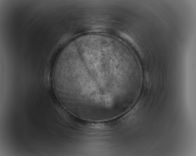 X0000089381403200706291308