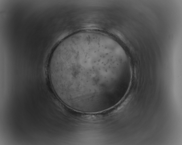 X0000089381405200706291308
