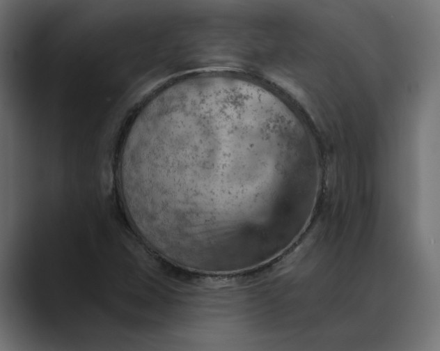 X0000089381407200706291308