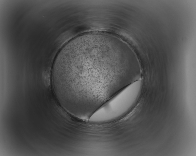 X0000089381409200706291308