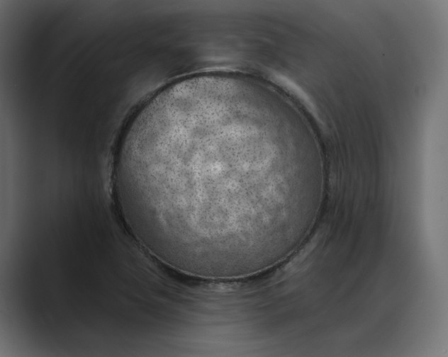 X0000089381411200706291308