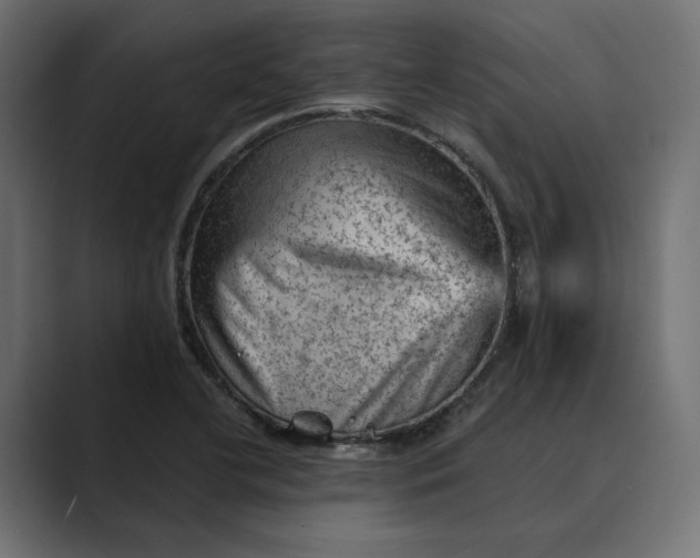 X0000089381412200706291308