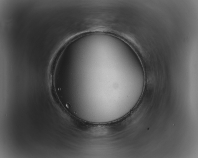 X0000089381414200706291308