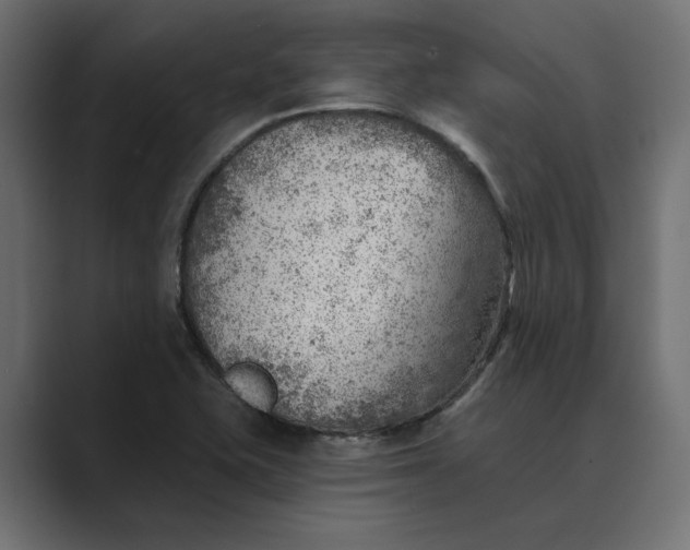 X0000089381415200706291308