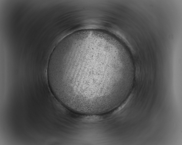 X0000089381417200706291308