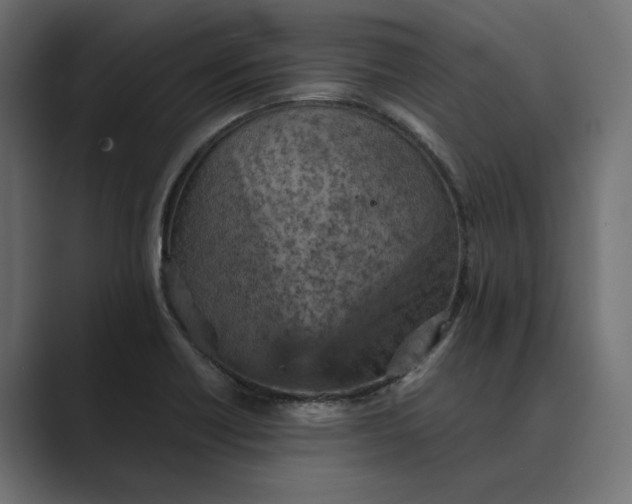 X0000089381418200706291308