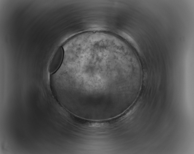 X0000089381419200706291308