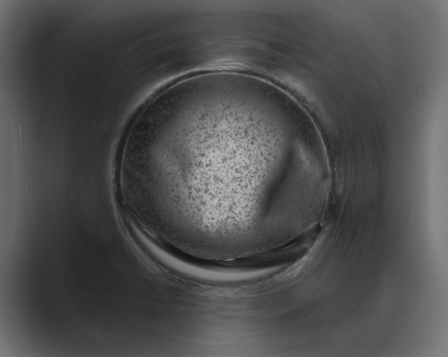 X0000089381422200706291309