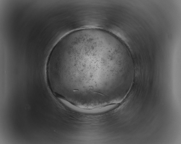 X0000089381423200706291309
