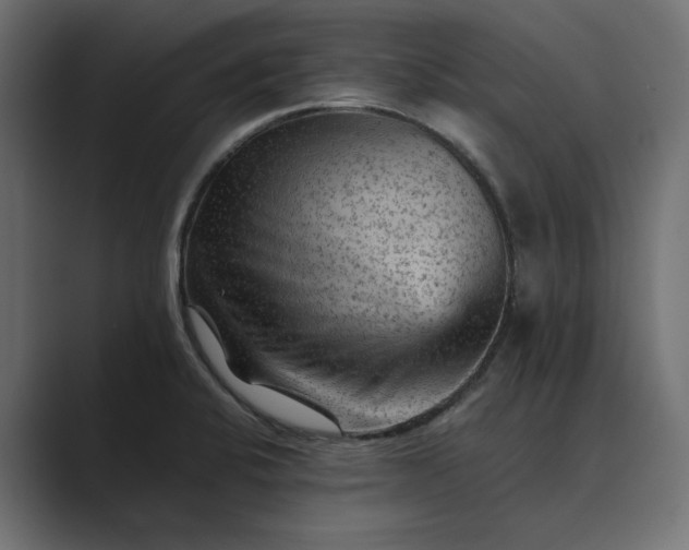 X0000089381424200706291309
