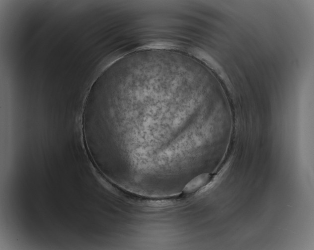 X0000089381425200706291309