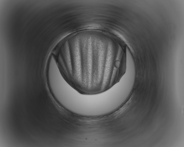 X0000089381426200706291309