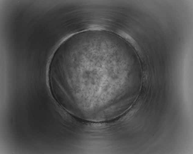 X0000089381427200706291309