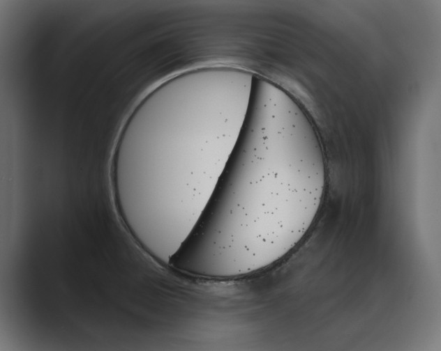 X0000089381428200706291309