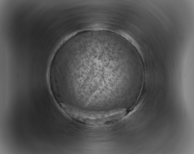 X0000089381429200706291309