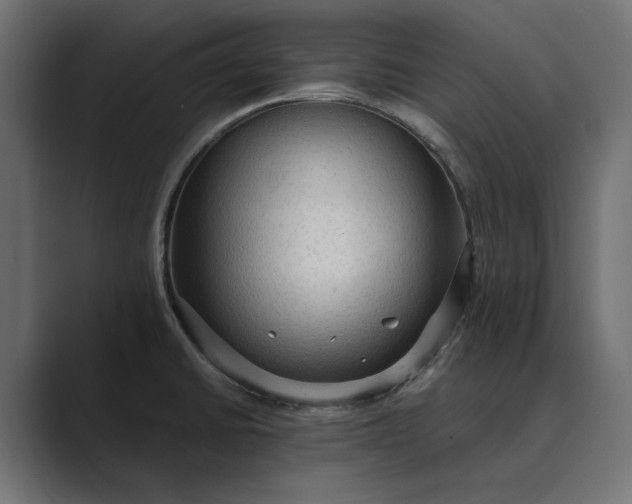X0000089381430200706291309