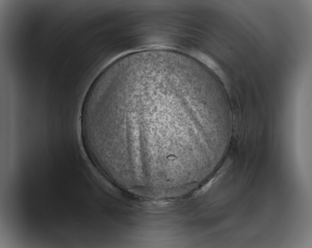 X0000089381431200706291309