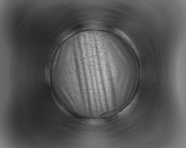 X0000089381433200706291309