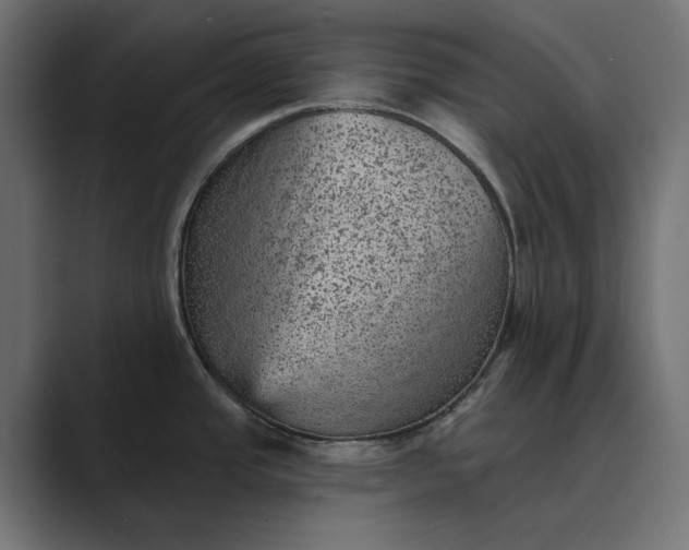 X0000089381437200706291309