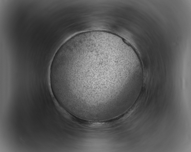 X0000089381439200706291309