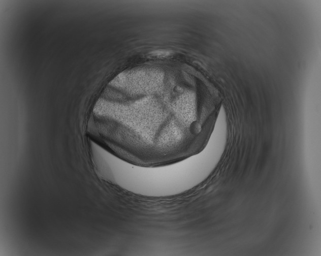 X0000089381441200706291308