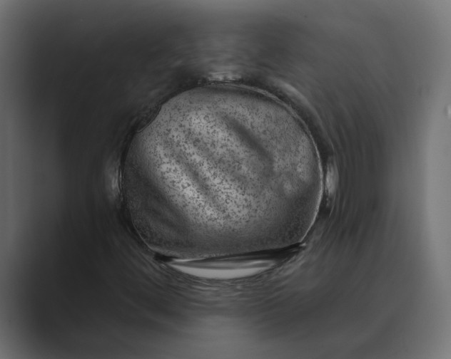 X0000089381444200706291308