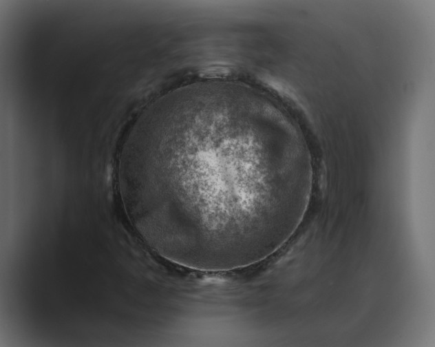 X0000089381445200706291308