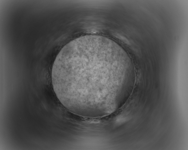 X0000089381446200706291308