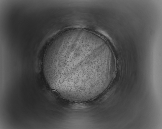 X0000089381448200706291308