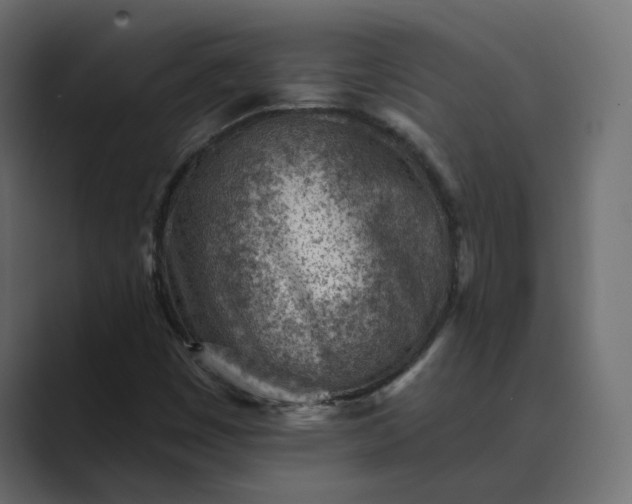 X0000089381449200706291308