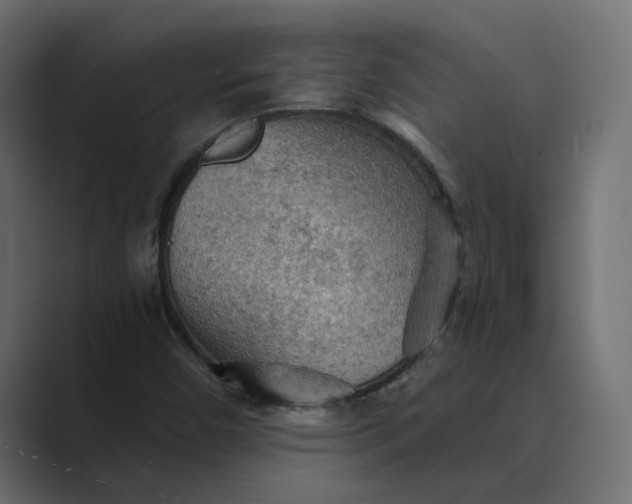 X0000089381450200706291308