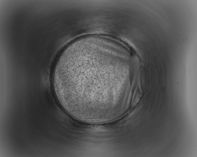 X0000089381452200706291308