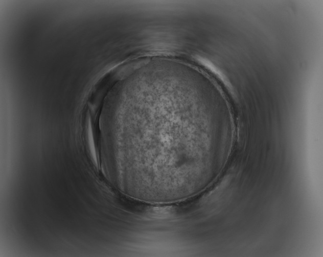 X0000089381453200706291308