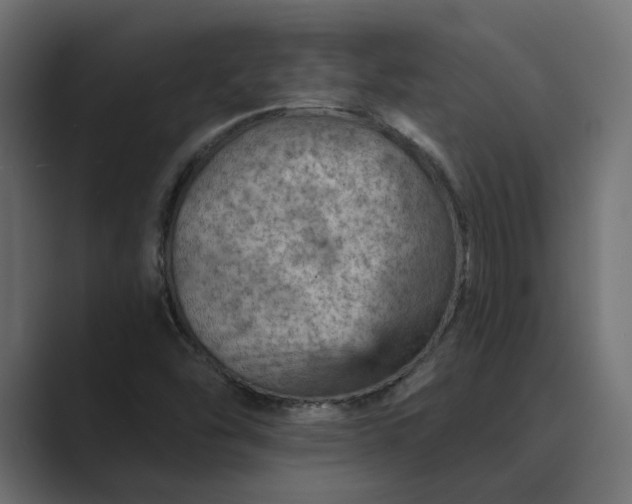 X0000089381454200706291308