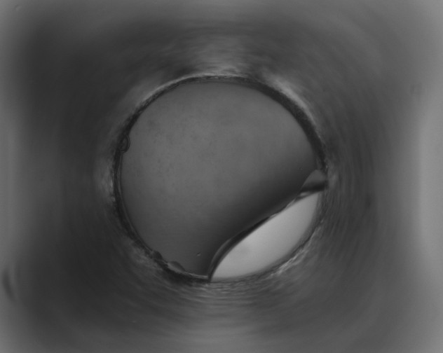 X0000089381455200706291308