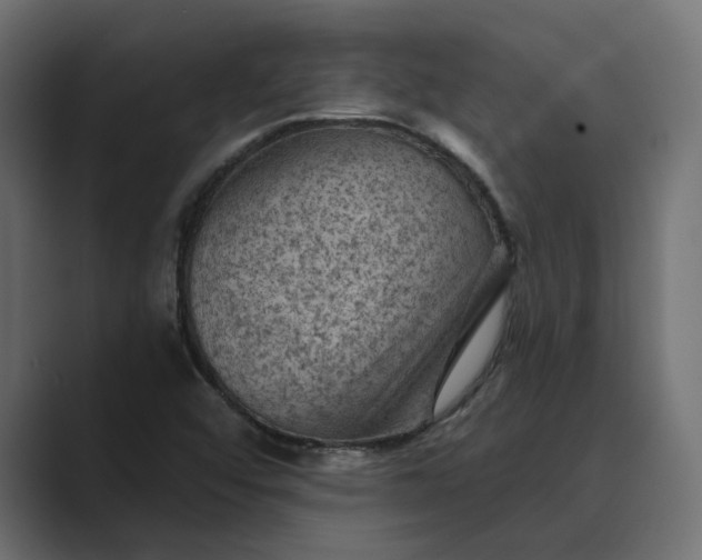 X0000089381456200706291308